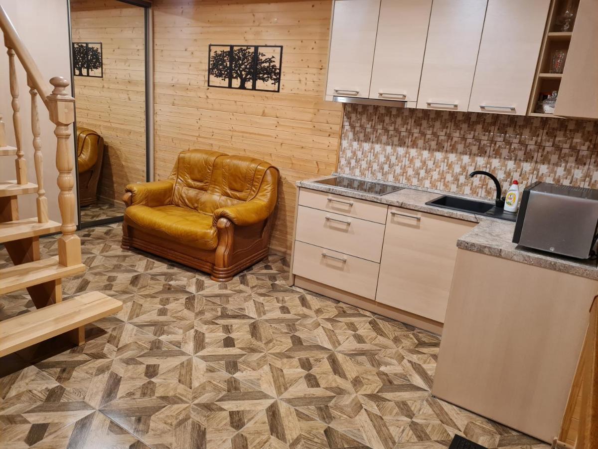 Apartamentai Renata ドルスキニンカイ エクステリア 写真